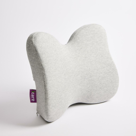 ICare Reform Low Back Support