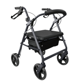 Mobility